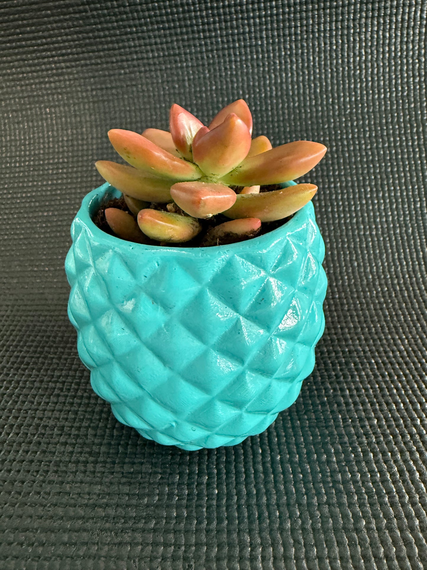 Paint a Ceramic - Mothers Day Planters & Succulents