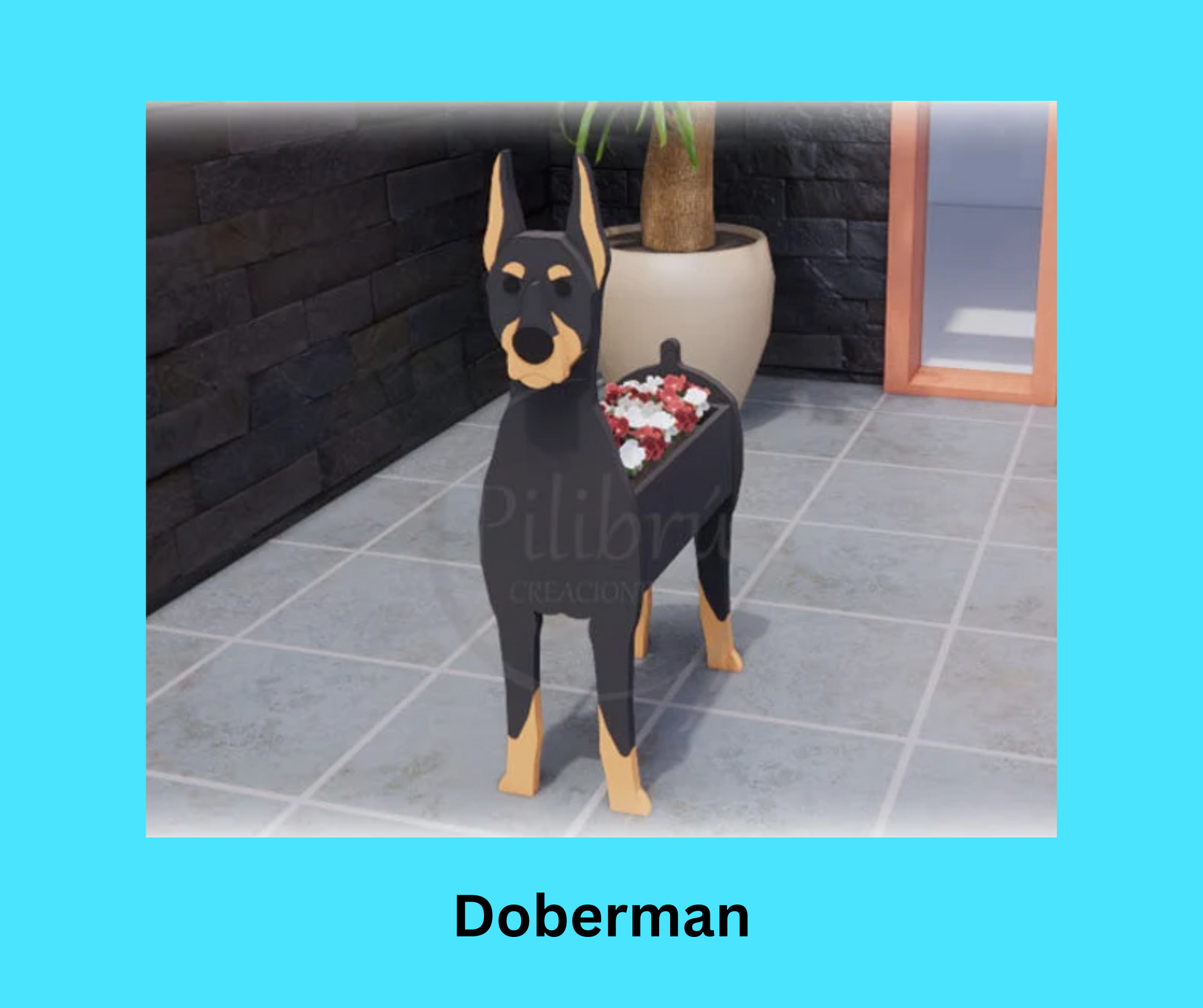Doberman