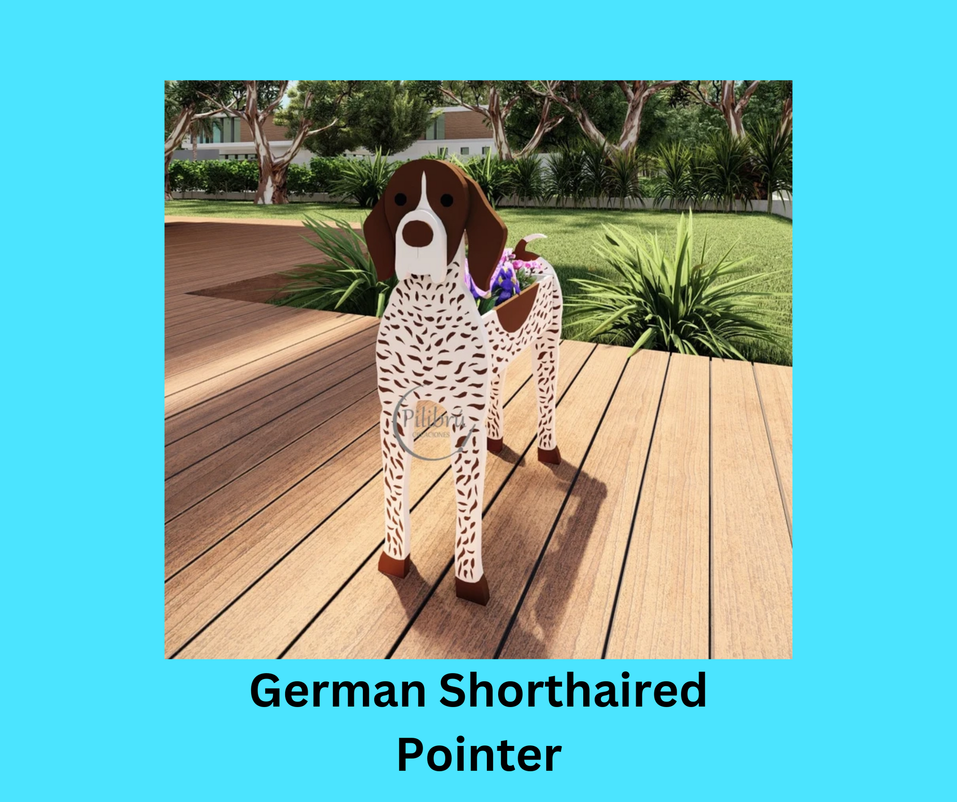 German Shorthaired Pointer