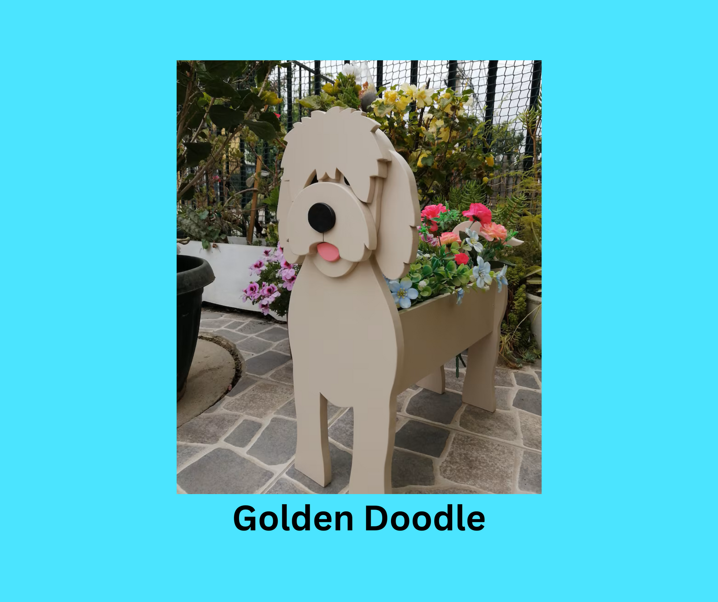 Golden Doodle