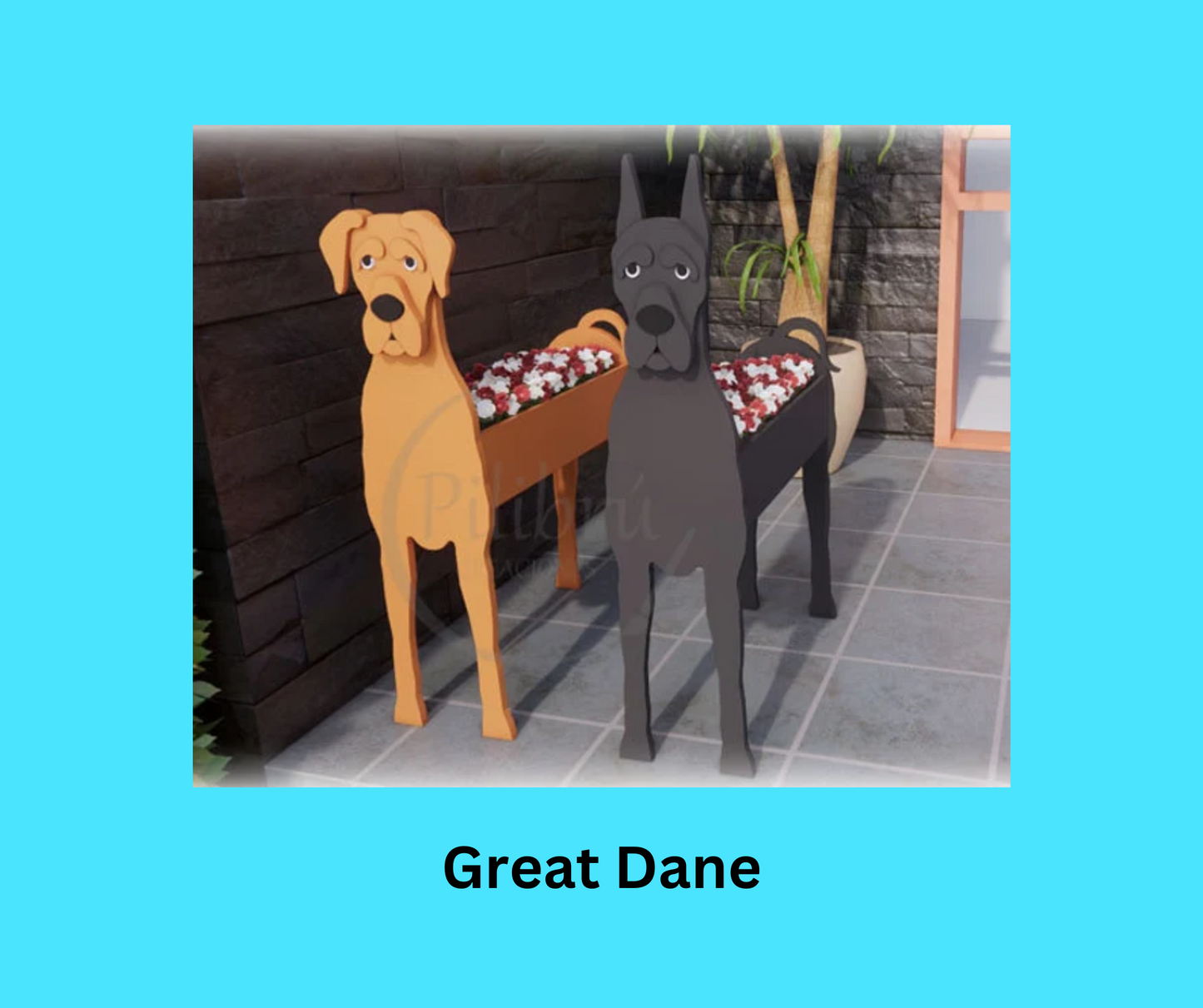 Great Dane