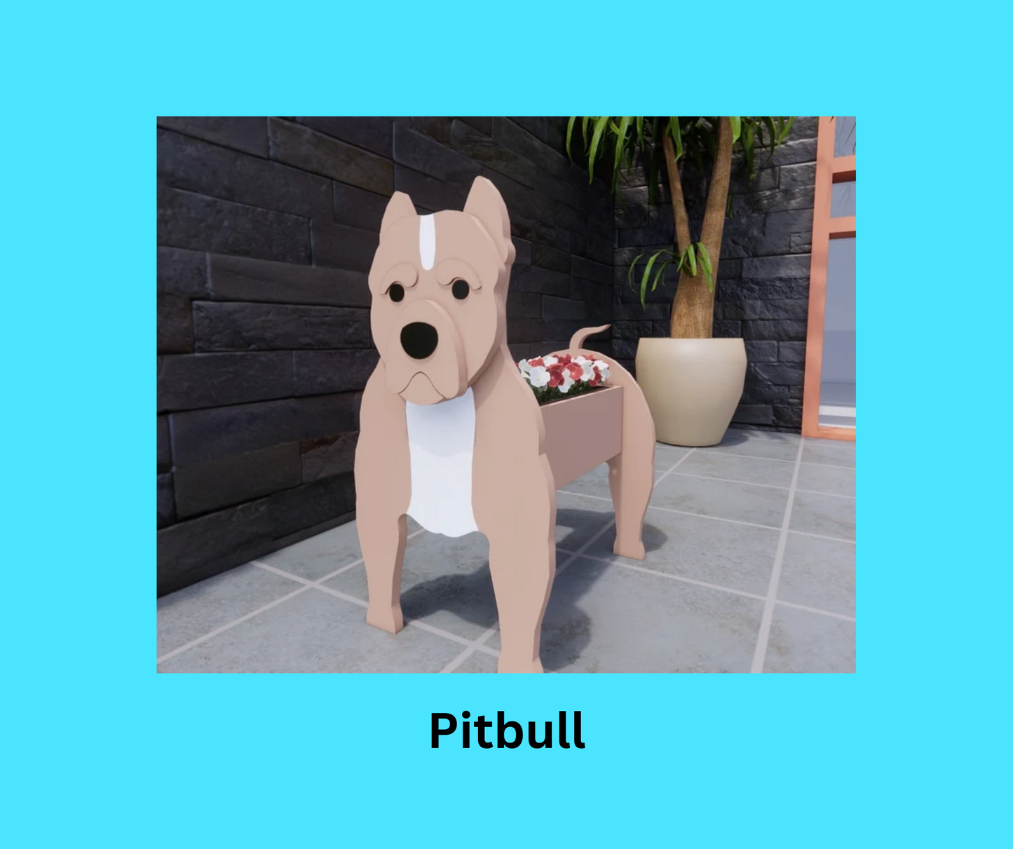 Pitbull
