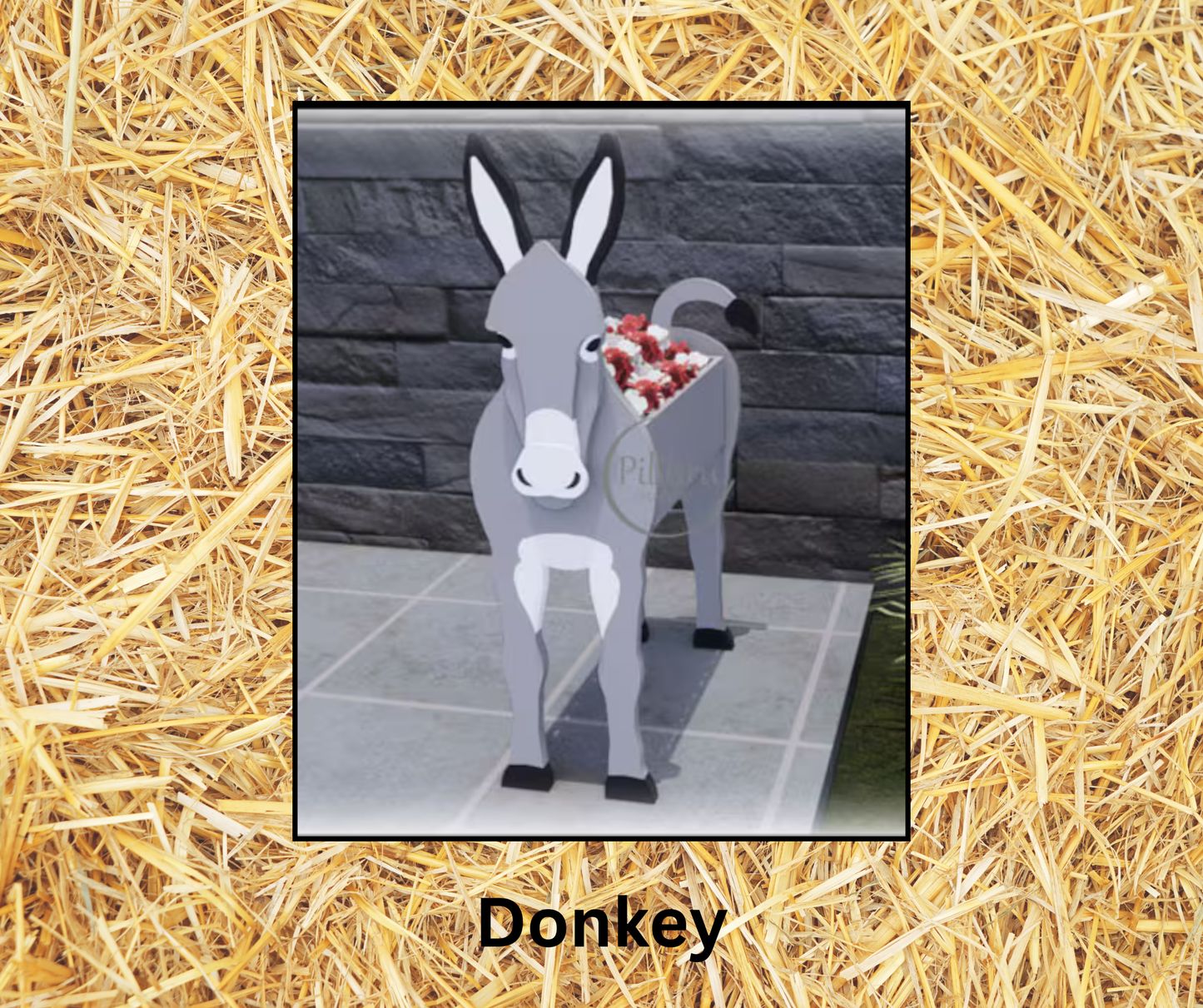 Donkey
