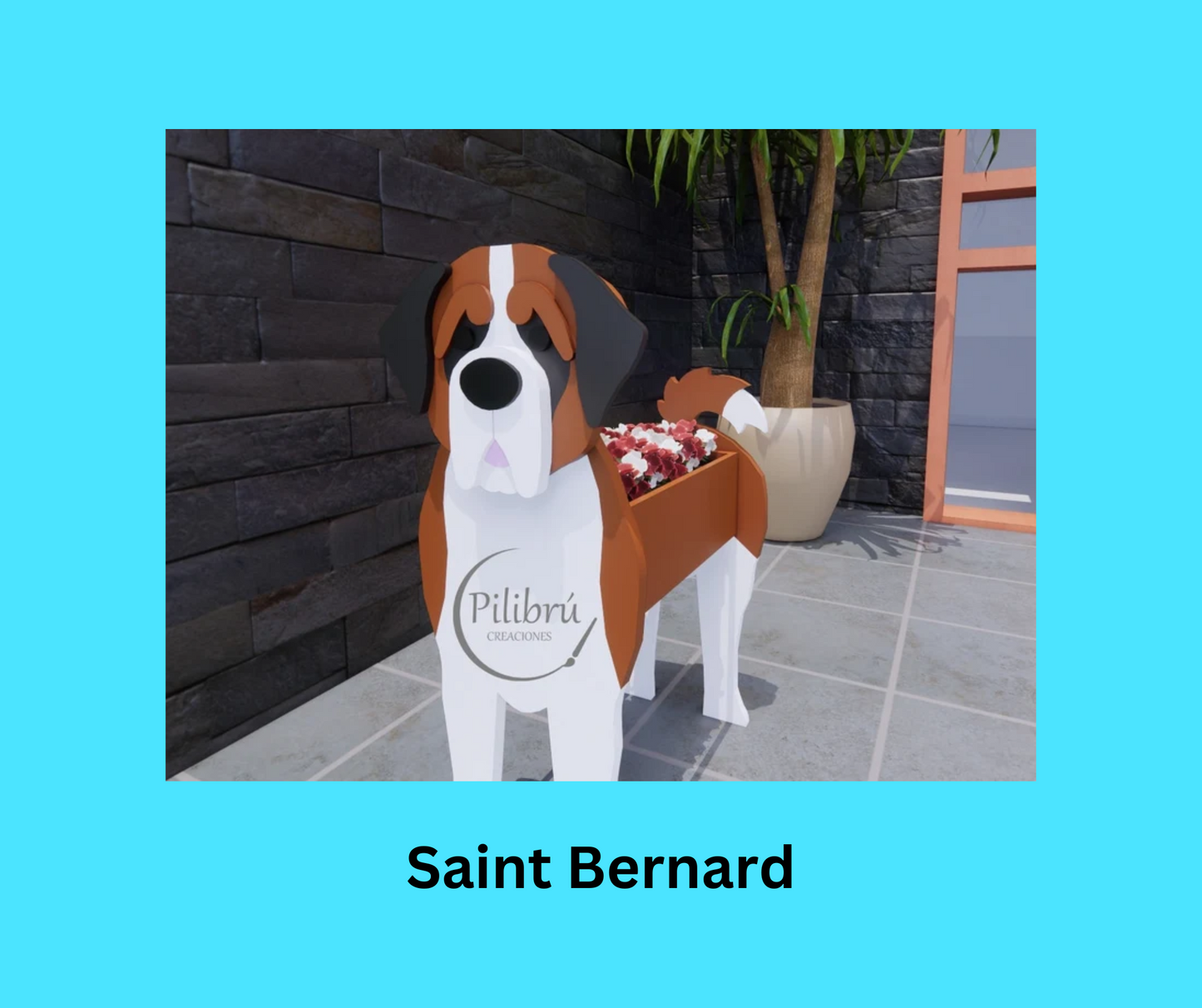 Saint Bernard