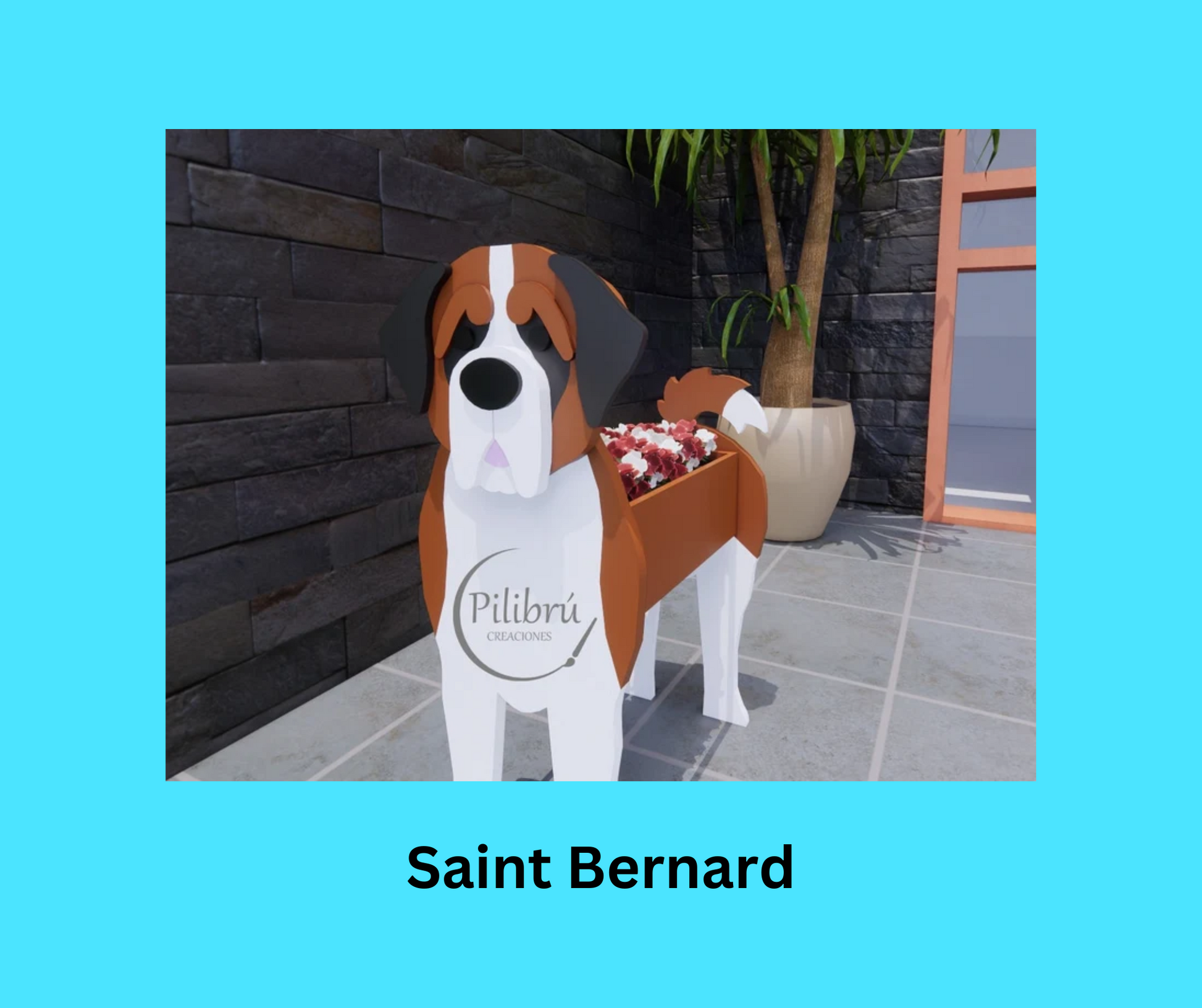 Saint Bernard