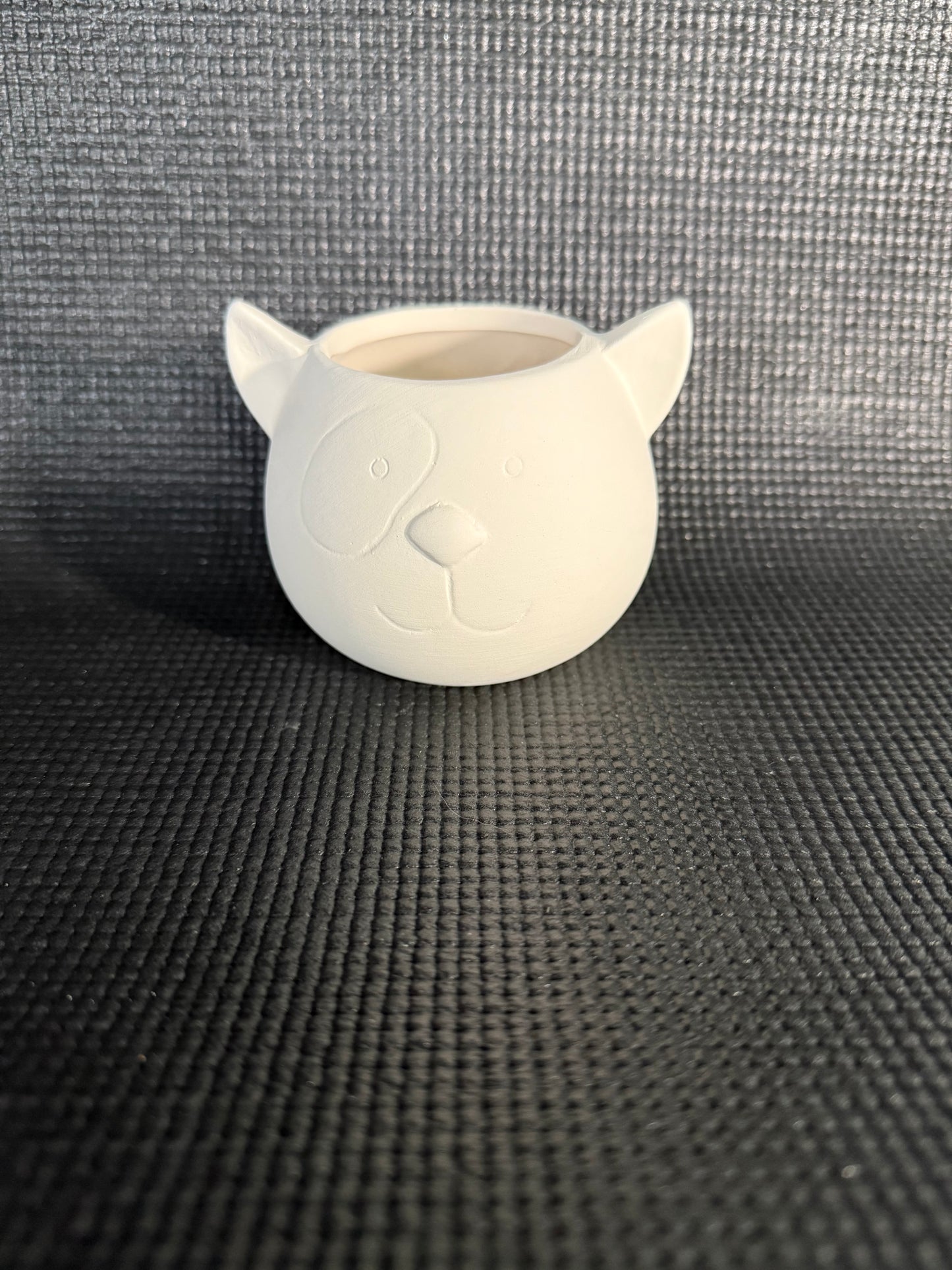 Paint a Ceramic - Lighted Ceramics